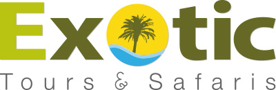 Exotic-logo-hi-res.jpg